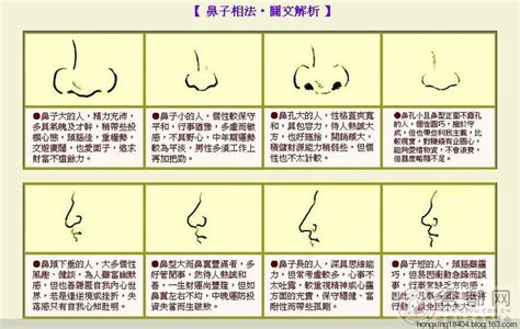 鼻長 面相 諾名字意思